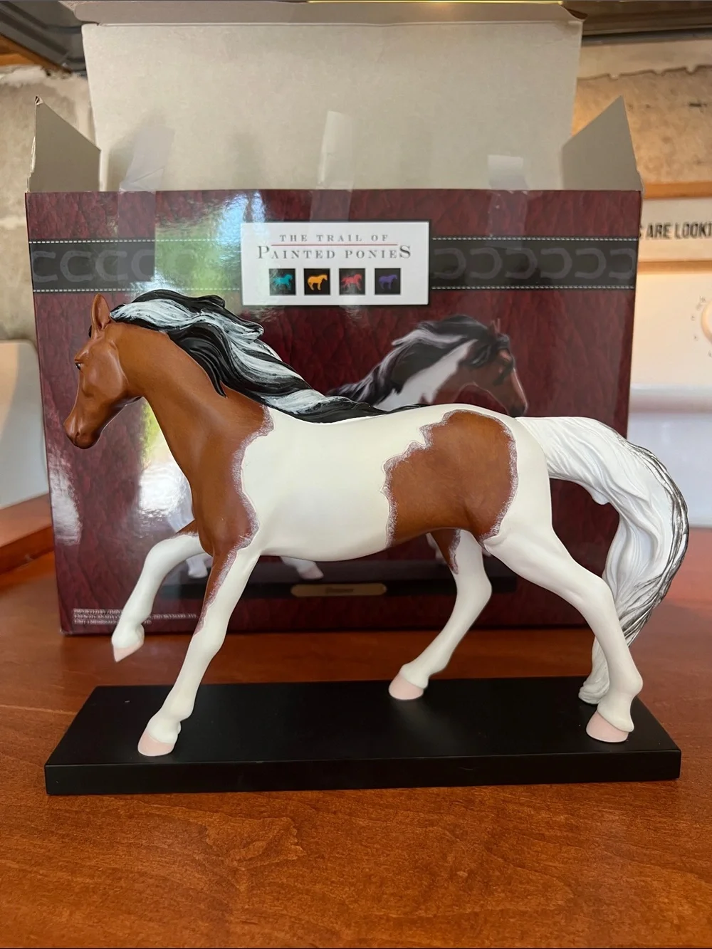 The Trail of Painted Ponies Dreamer